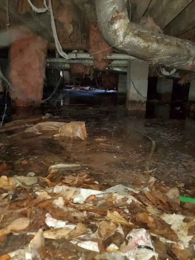 Crawl space flood assessment for Leak Detection & Repair in Northbridge